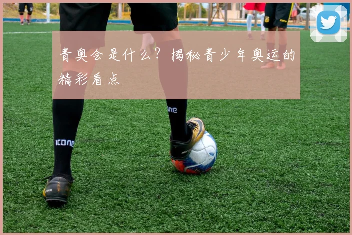 青奥会是什么?揭秘青少年奥运的精彩看点